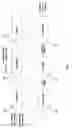 Fig. 03 - HIGH DENSITY, ENERGY COMPONENT-ADDED PELLETIZED AGRICULTURAL PROCESSING BYPRODUCTS FOR ANIMAL FEED