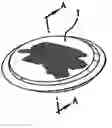 Fig. 01 - Sweet-tea