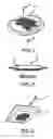 Fig. 02 - Sweet-tea