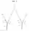 Fig. 04 - Method of producing pigment dispersion