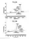 Fig. 06 - Beta-nucleation concentrates