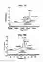 Fig. 07 - Beta-nucleation concentrates