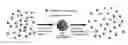 Fig. 01 - Nanoclusters for delivery of therapeutics