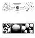 Fig. 02 - Nanoclusters for delivery of therapeutics