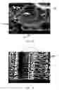 Fig. 03 - Thermal barrier coating having nano scale features