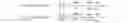 Fig. 02 - Stress reducing bus bar for an electrolyte sheet and a solid oxide fuel cell utilizing such