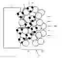 Fig. 01 - Structure of cathode electrode for fuel cell