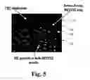 Fig. 06 - Solid oxide fuel cell anodes and electrodes for other electrochemical devices