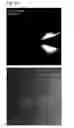 Fig. 03 - Anode active material, method of preparing the same, and anode and lithium battery containing the anode active material