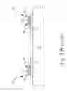 Fig. 04 - Method for manufacturing electrodes of a plasma display panel