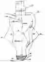 Fig. 01 - Device for Forming Bone Bed for Dental Implant