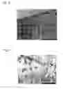 Fig. 09 - Tissue equivalent for transplantation and method for producing same