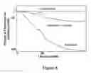 Fig. 06 - METHOD FOR DETECTING MODULATORS OF ION CHANNELS USING THALLIUM (I) SENSITIVE ASSAYS