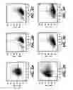 Fig. 05 - Multiparameter FACS assays to detect alterations in cellular parameters and to screen small molecule libraries