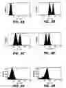 Fig. 06 - Multiparameter FACS assays to detect alterations in cellular parameters and to screen small molecule libraries