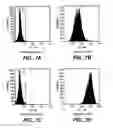 Fig. 08 - Multiparameter FACS assays to detect alterations in cellular parameters and to screen small molecule libraries