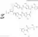 Fig. 28 - Electrochemically active ligand for sequence-specific detection of double-stranded nucleic acid molecule