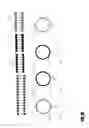 Fig. 03 - Multiplex detection probes