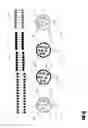 Fig. 04 - Multiplex detection probes