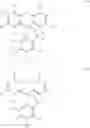 Fig. 137 - Phosphonate fluorescent dyes and conjugates