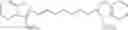 Fig. 24 - Phosphonate fluorescent dyes and conjugates