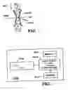 Fig. 04 - Multiplex detection of respiratory pathogens