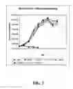 Fig. 04 - Methods for the Production and Purification of Adenoviral Vectors