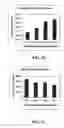 Fig. 09 - Methods for the Production and Purification of Adenoviral Vectors