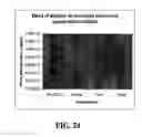 Fig. 18 - Methods for the Production and Purification of Adenoviral Vectors