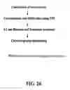 Fig. 20 - Methods for the Production and Purification of Adenoviral Vectors