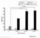 Fig. 05 - MOLECULAR SIGNALING PATHWAYS TRIGGERED BY RITUXIMAB: PROGNOSTIC, DIAGNOSTIC, AND THERAPEUTIC USES