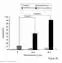 Fig. 06 - MOLECULAR SIGNALING PATHWAYS TRIGGERED BY RITUXIMAB: PROGNOSTIC, DIAGNOSTIC, AND THERAPEUTIC USES
