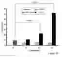 Fig. 08 - MOLECULAR SIGNALING PATHWAYS TRIGGERED BY RITUXIMAB: PROGNOSTIC, DIAGNOSTIC, AND THERAPEUTIC USES