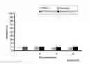 Fig. 09 - MOLECULAR SIGNALING PATHWAYS TRIGGERED BY RITUXIMAB: PROGNOSTIC, DIAGNOSTIC, AND THERAPEUTIC USES