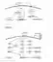 Fig. 23 - MOLECULAR SIGNALING PATHWAYS TRIGGERED BY RITUXIMAB: PROGNOSTIC, DIAGNOSTIC, AND THERAPEUTIC USES