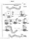 Fig. 03 - Detection of markers in nascent proteins
