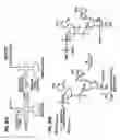Fig. 04 - Detection of markers in nascent proteins