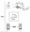 Fig. 05 - Detection of markers in nascent proteins