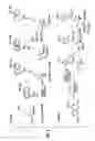 Fig. 06 - Detection of markers in nascent proteins