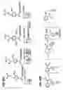 Fig. 07 - Detection of markers in nascent proteins