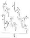 Fig. 08 - Detection of markers in nascent proteins