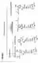Fig. 09 - Detection of markers in nascent proteins