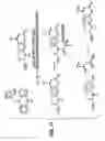 Fig. 13 - Detection of markers in nascent proteins