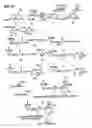 Fig. 17 - Detection of markers in nascent proteins