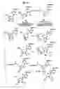 Fig. 19 - Detection of markers in nascent proteins
