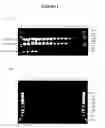 Fig. 02 - Nucleic acid purification with a binding matrix