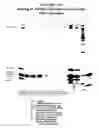 Fig. 25 - Nucleic acid purification with a binding matrix