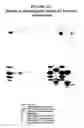 Fig. 29 - Nucleic acid purification with a binding matrix