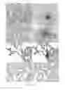 Fig. 06 - Methods for treating pulmonary fibrosis