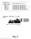 Fig. 08 - Methods for sequence determination